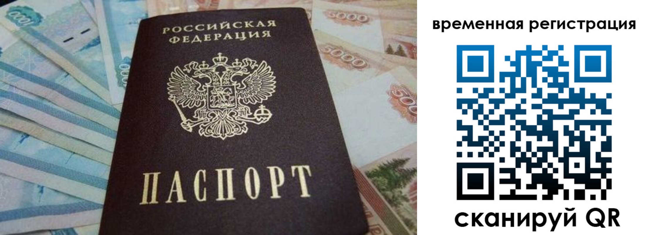 временная регистрация гарантия в Королёве