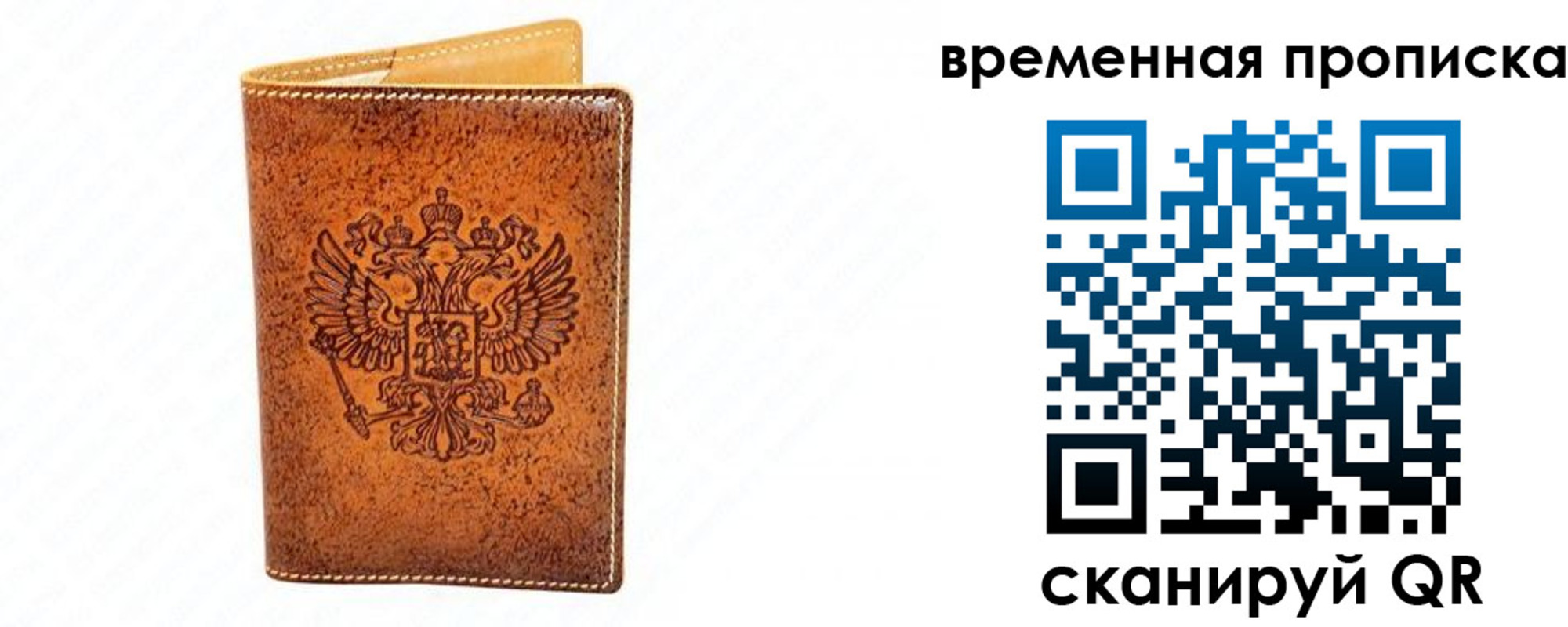 прописка ребенка в Королёве